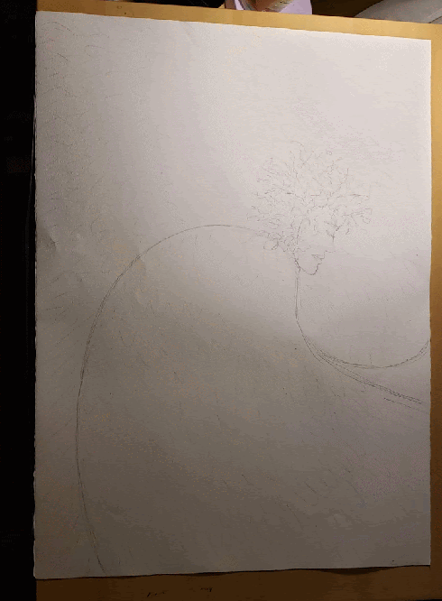 20190226_213551-ANIMATION